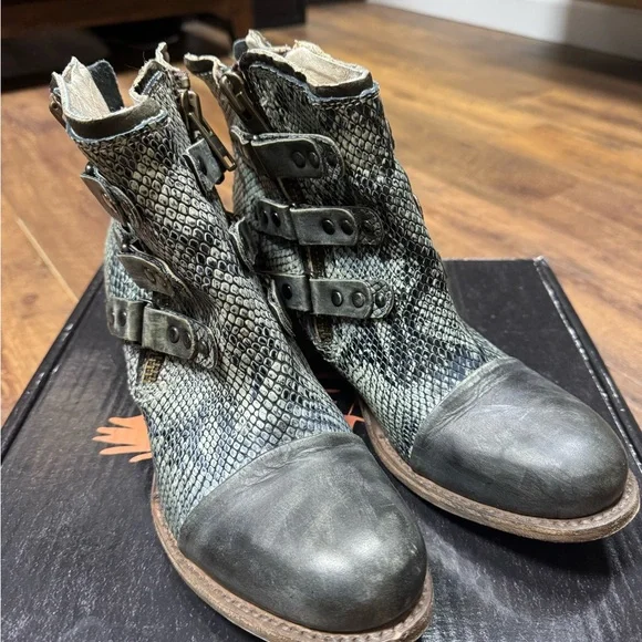 Freebird olive grecko 8 - Picture 2 of 5